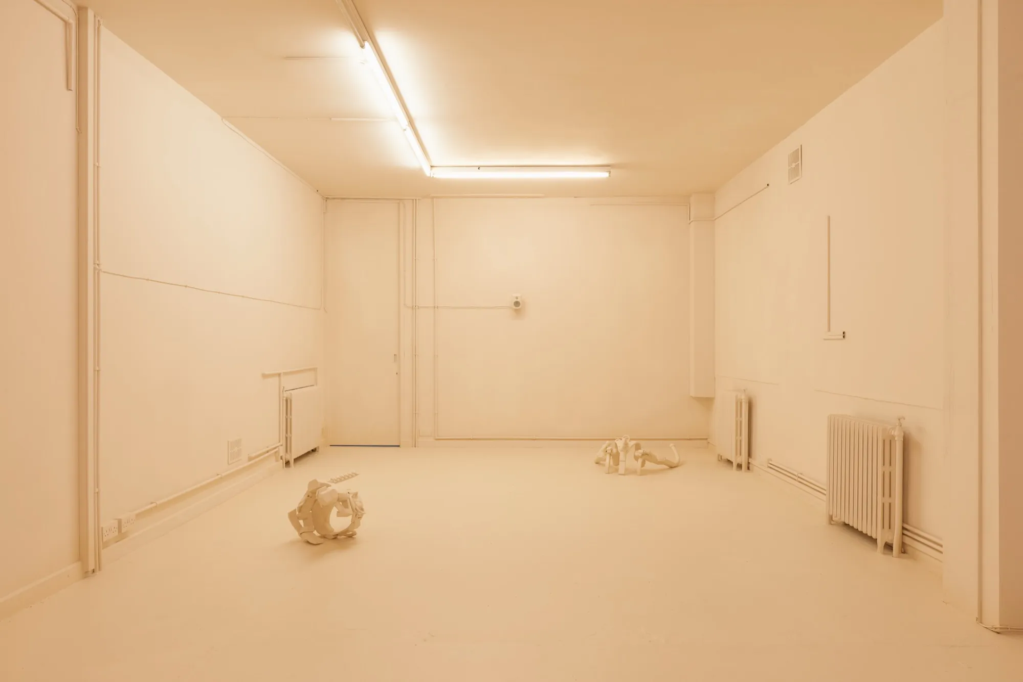 SNITCH by Solomon Garçon, nylon PA12 pieces fabricated by Spike TM, installation view